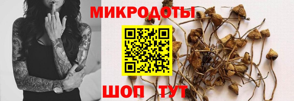 Ишим  Псилоцибиновые грибы прущие грибы  Вход с VPN 