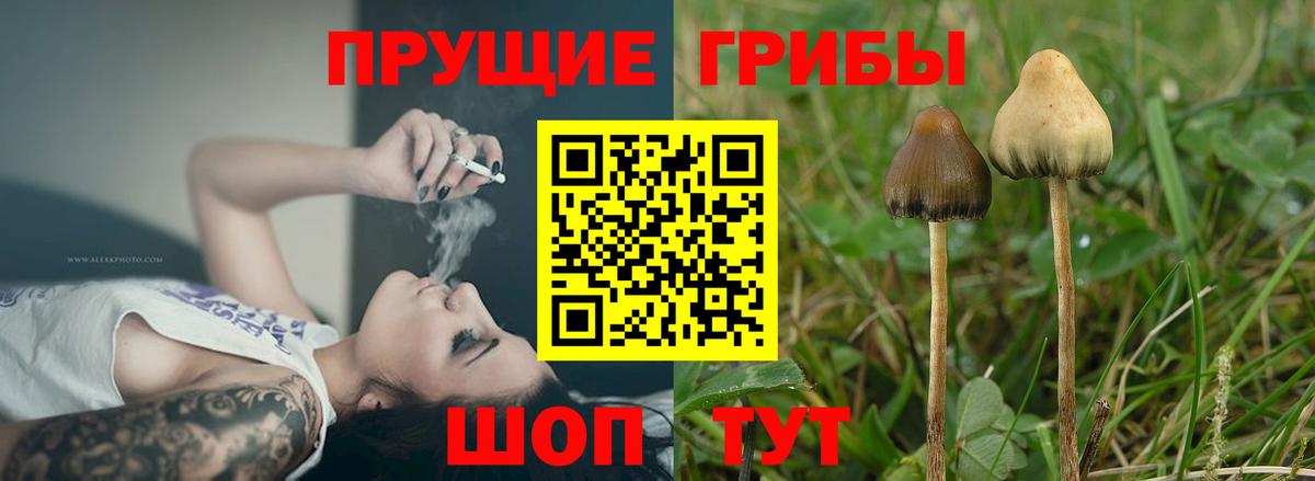 Псилоцибиновые грибы MAGIC MUSHROOMS Ишим